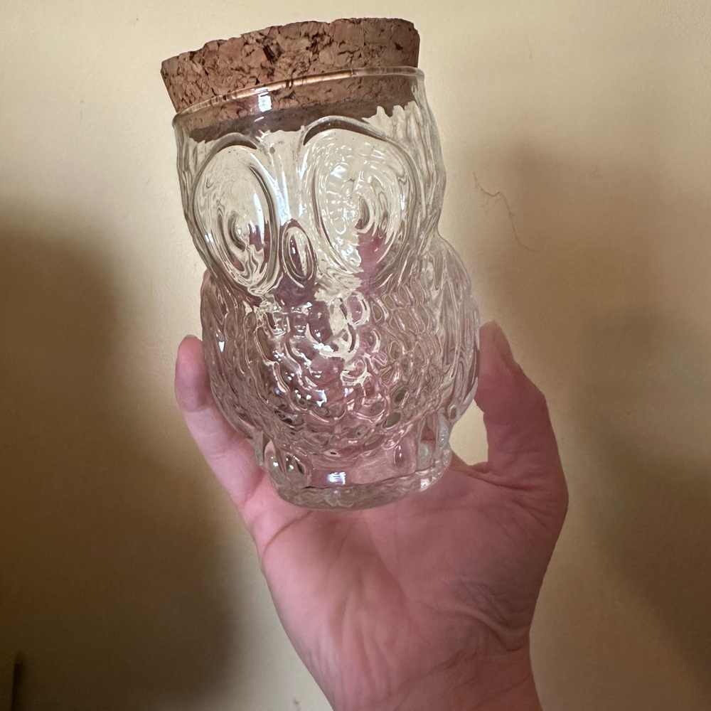 Owl Glass Jar